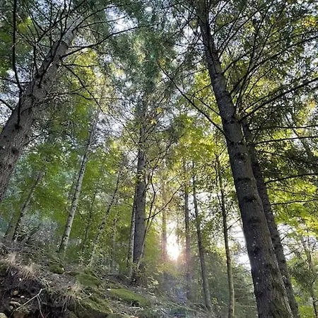 Lugar Da Borralheira Verdelhos