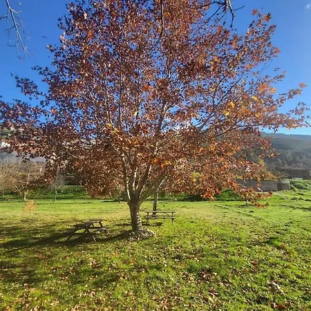 Lugar Da Borralheira * Verdelhos