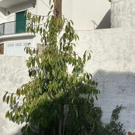 Lugar Da Borralheira Holiday home Verdelhos