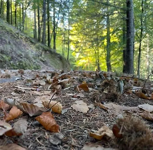 Дом отдыха Lugar Da Borralheira *
