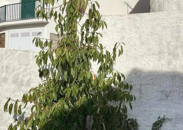 Lugar Da Borralheira Casa vacanze Verdelhos